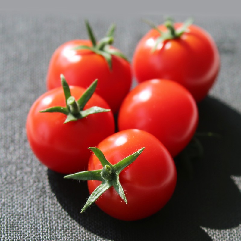 首页| Aggame游戏平台官方网站