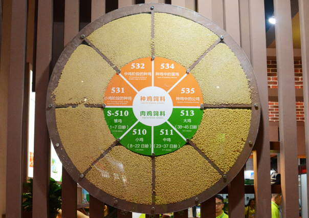 首页| Aggame游戏平台官方网站