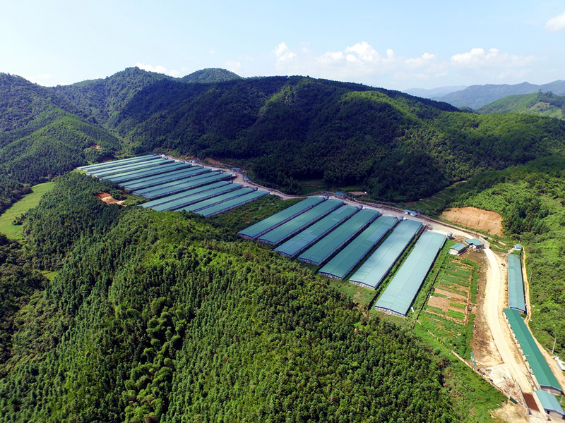 首页| Aggame游戏平台官方网站