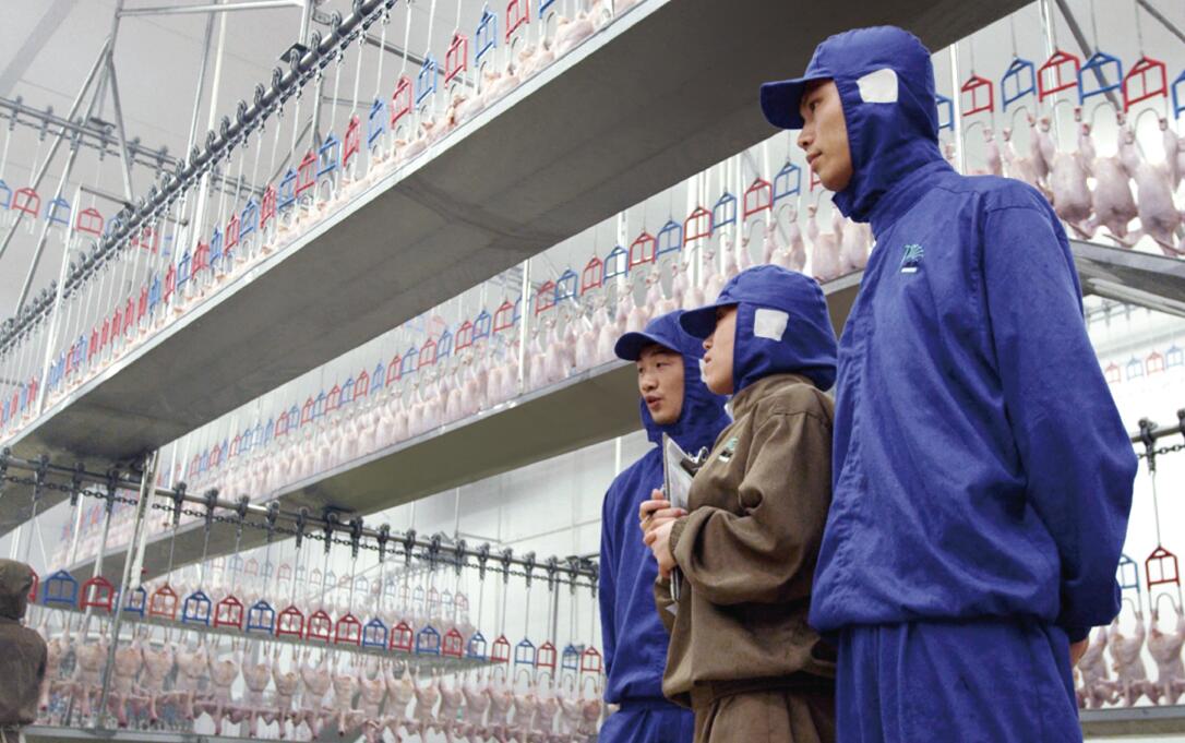 首页| Aggame游戏平台官方网站