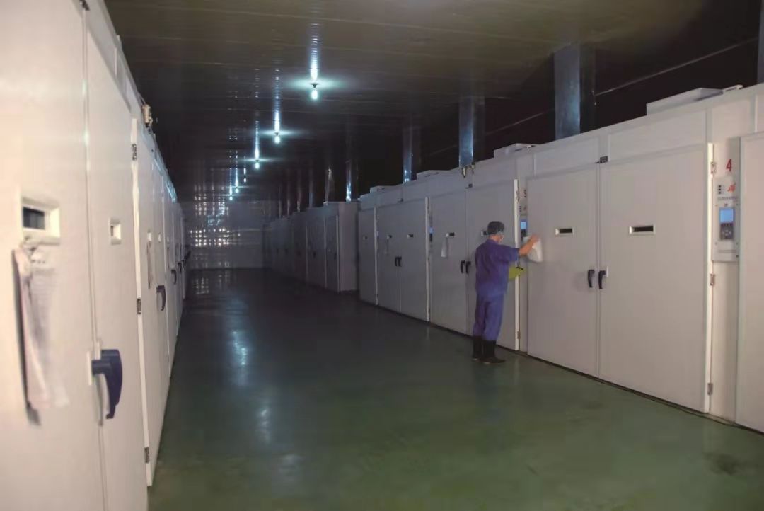 首页| Aggame游戏平台官方网站