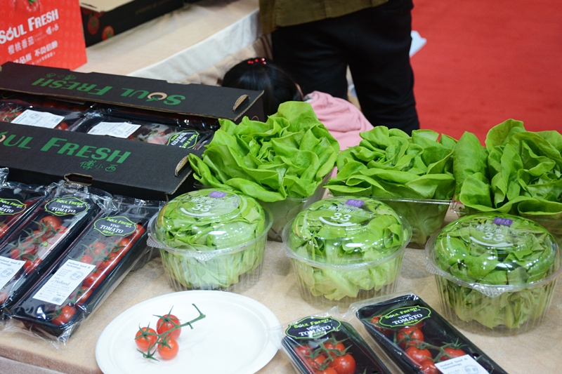 首页| Aggame游戏平台官方网站