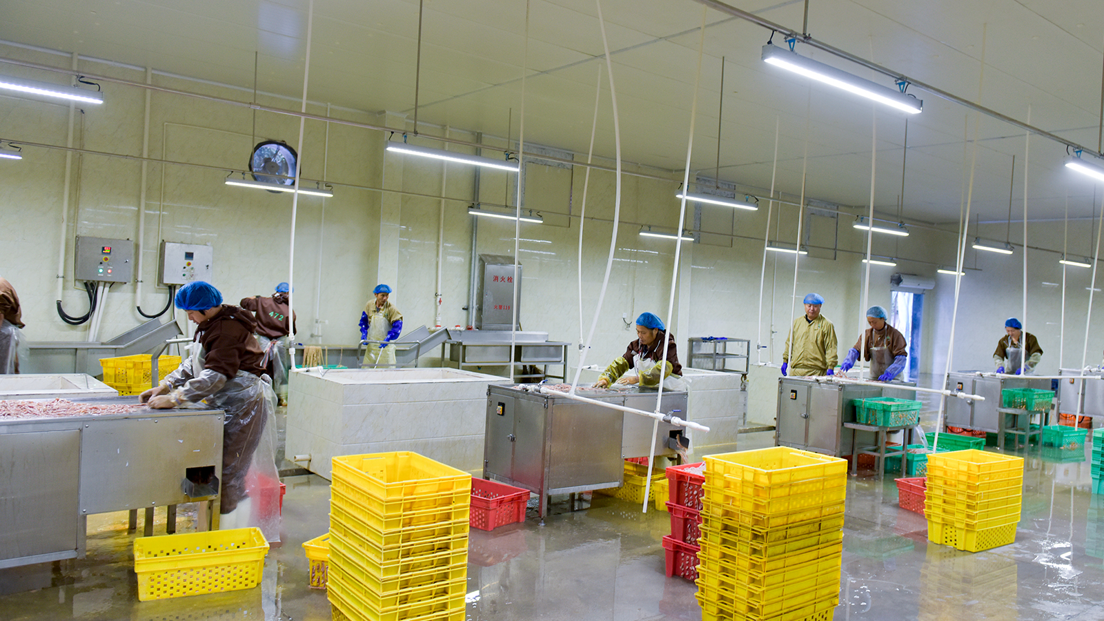 首页| Aggame游戏平台官方网站