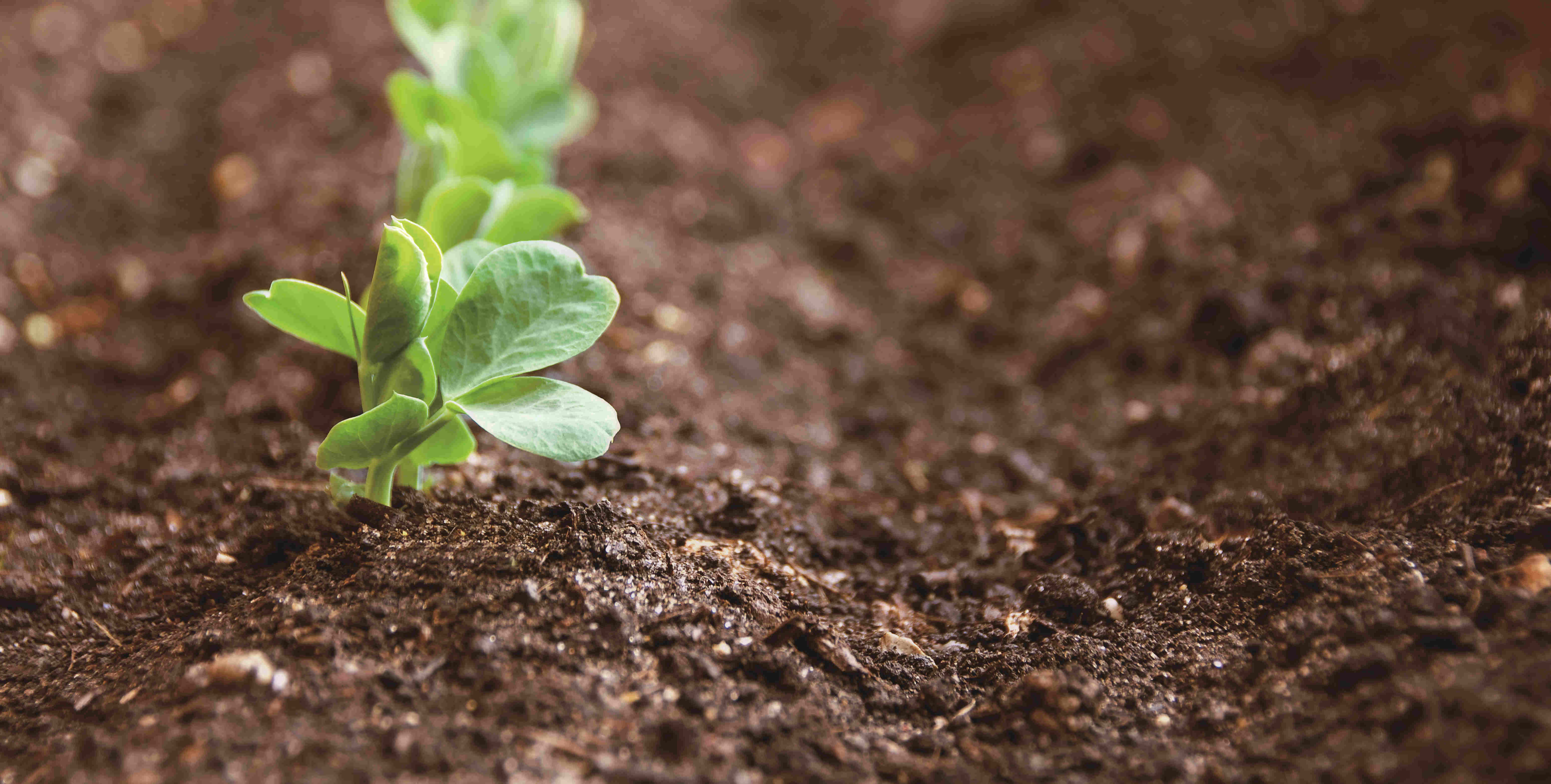 首页| Aggame游戏平台官方网站