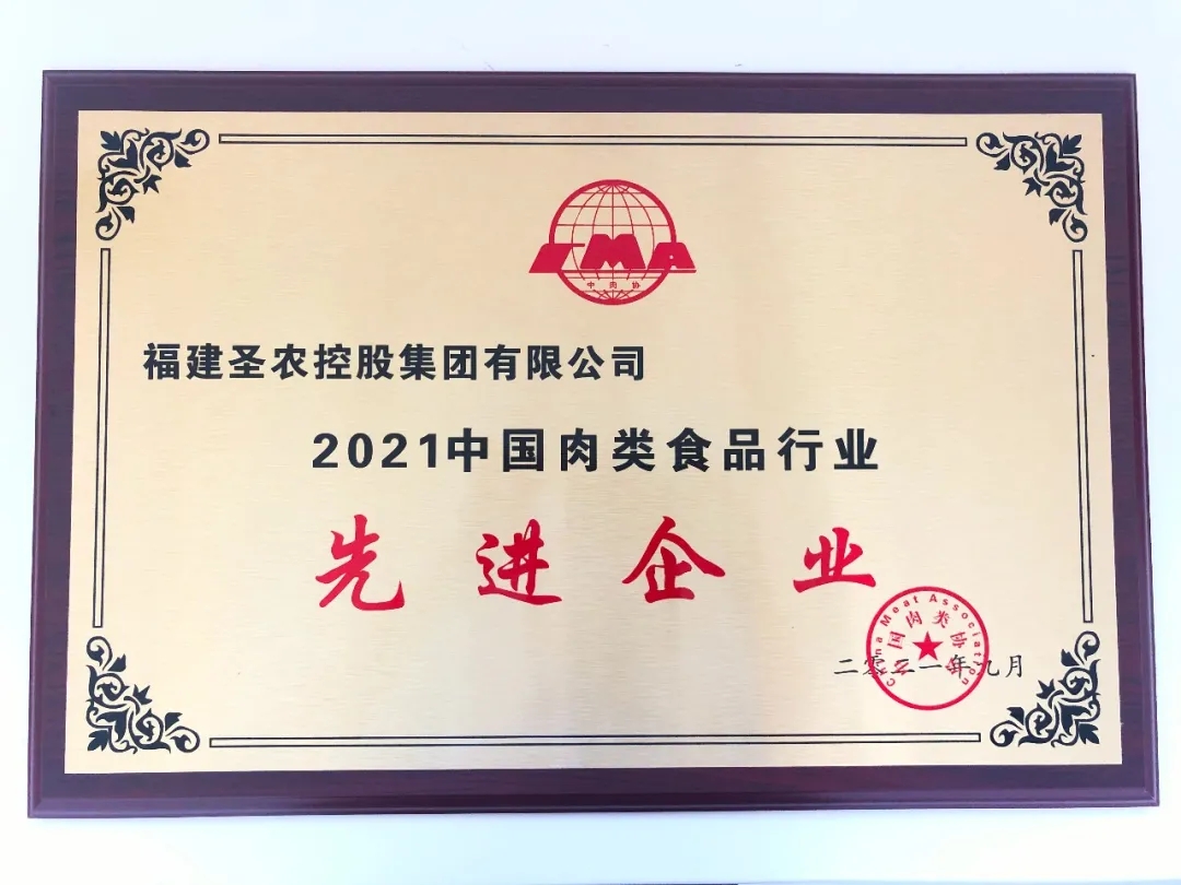 2021（Aggame集团）中国肉类食物行业先进企业