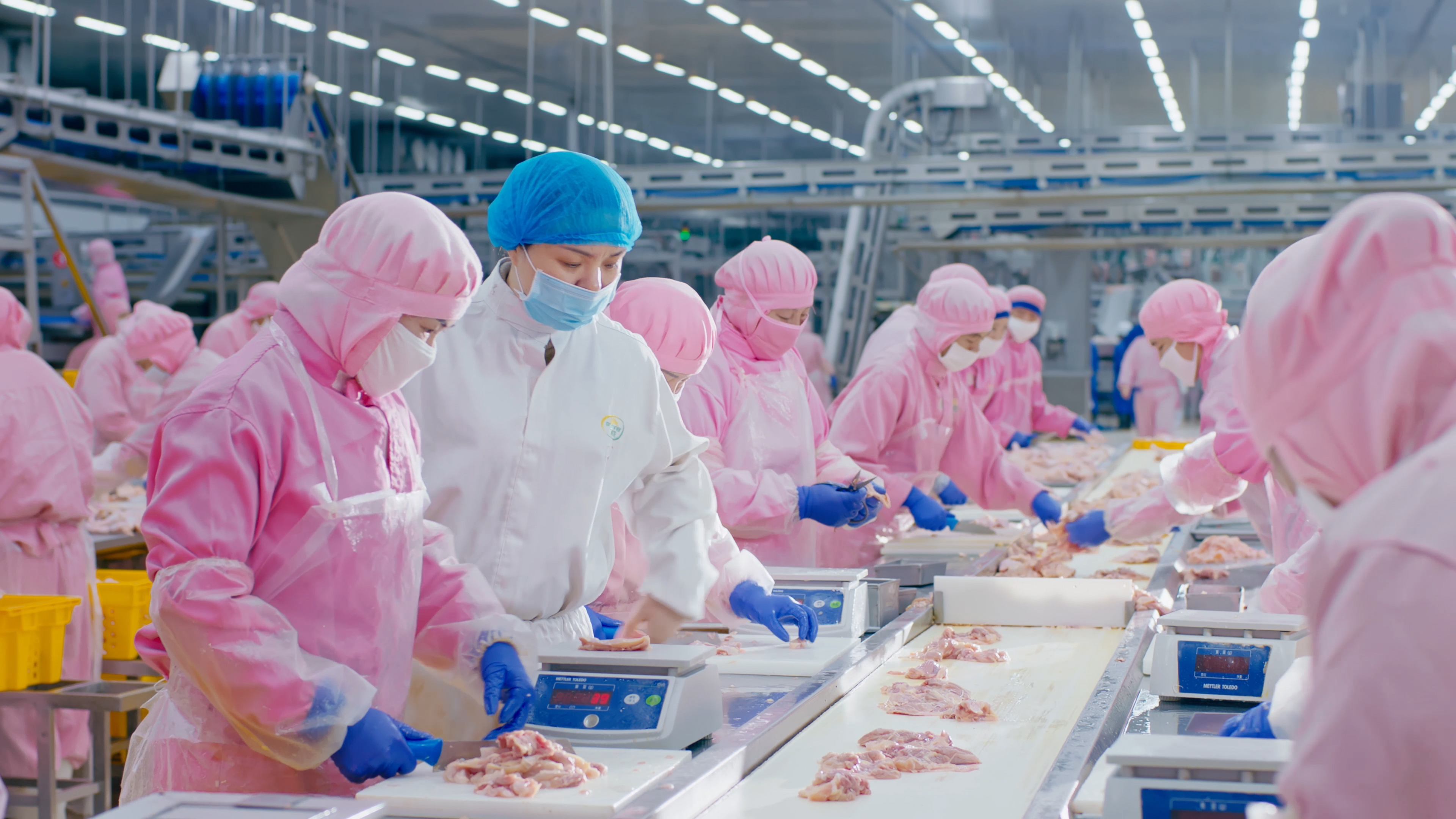 以人为本，，，携手员工配合开展